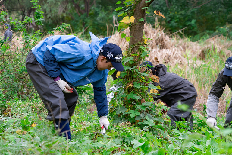 여의도 샛강생태공원에서 생태계 교란 식물 관리 작업을 진행하는 미쉐린코리아 직원들