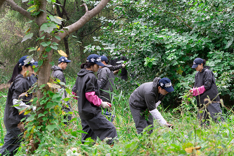 여의도 샛강생태공원에서 생태계 교란 식물 관리 작업을 진행하는 미쉐린코리아 직원들 