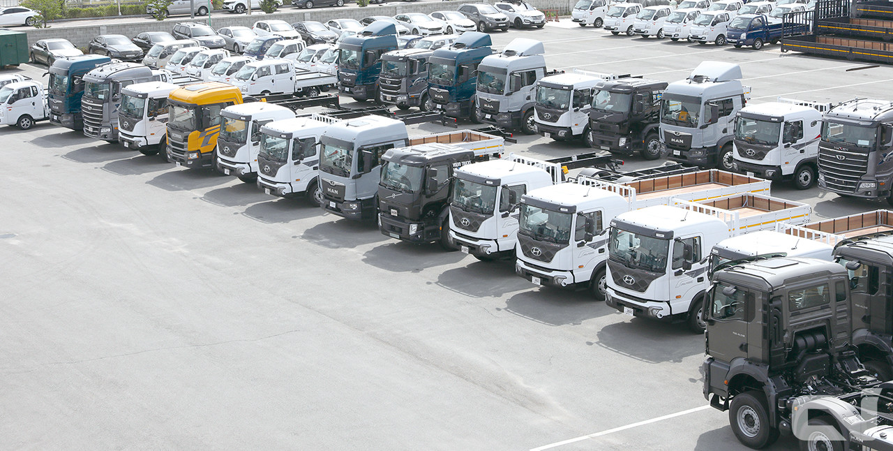 중형 및 준대형급 카고트럭 시장에서는 현대차가 80% 이상의 압도적 점유율을 유지하는 가운데, 타타대우가 10% 내외, 수입산이 10% 수준에서 각자의 포지션을 확고히 하고 있다. 